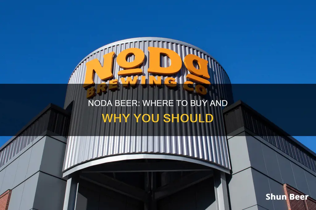 where to buy noda beer