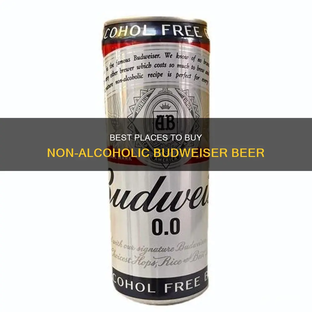 where to buy non alcoholic beer budweiser