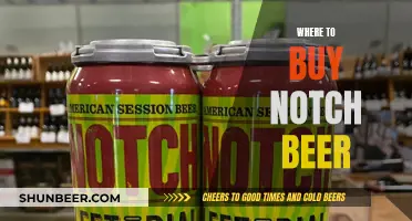 Notch Beer: Where to Buy and Enjoy It