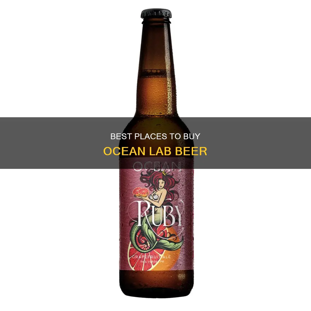 where to buy ocean lab beer