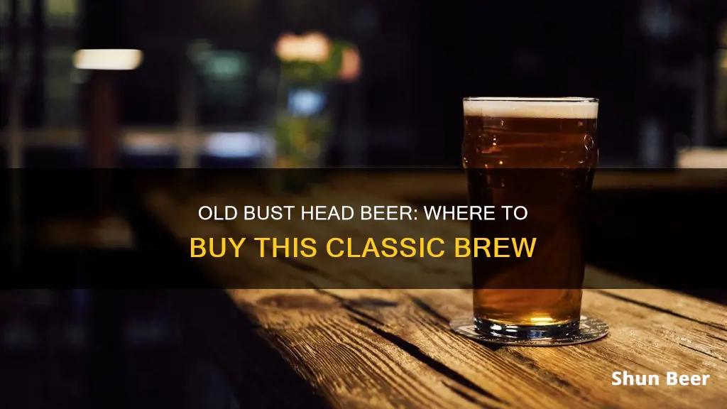 where to buy old bust head beer