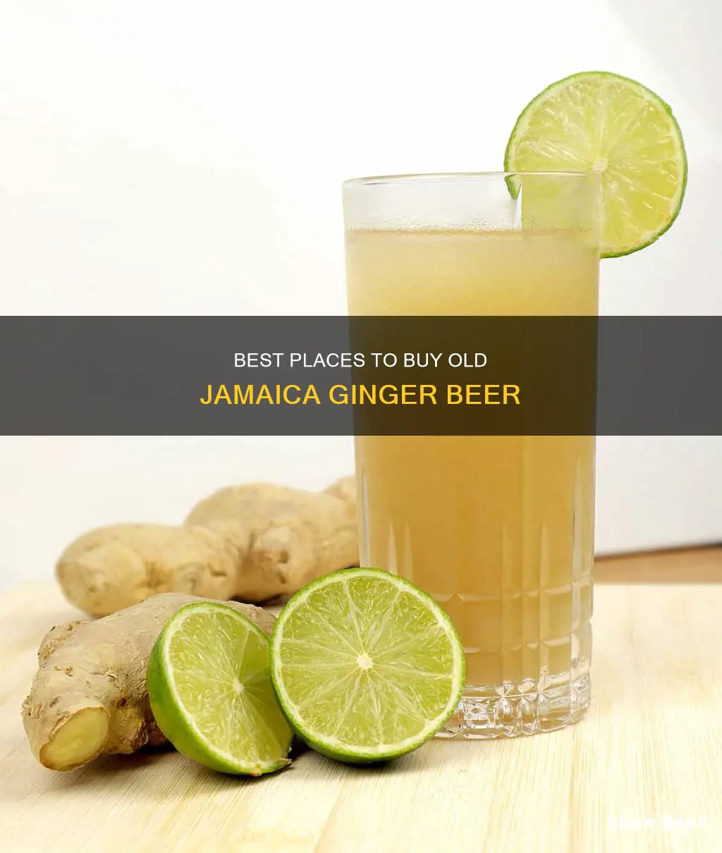 where to buy old jamaica ginger beer