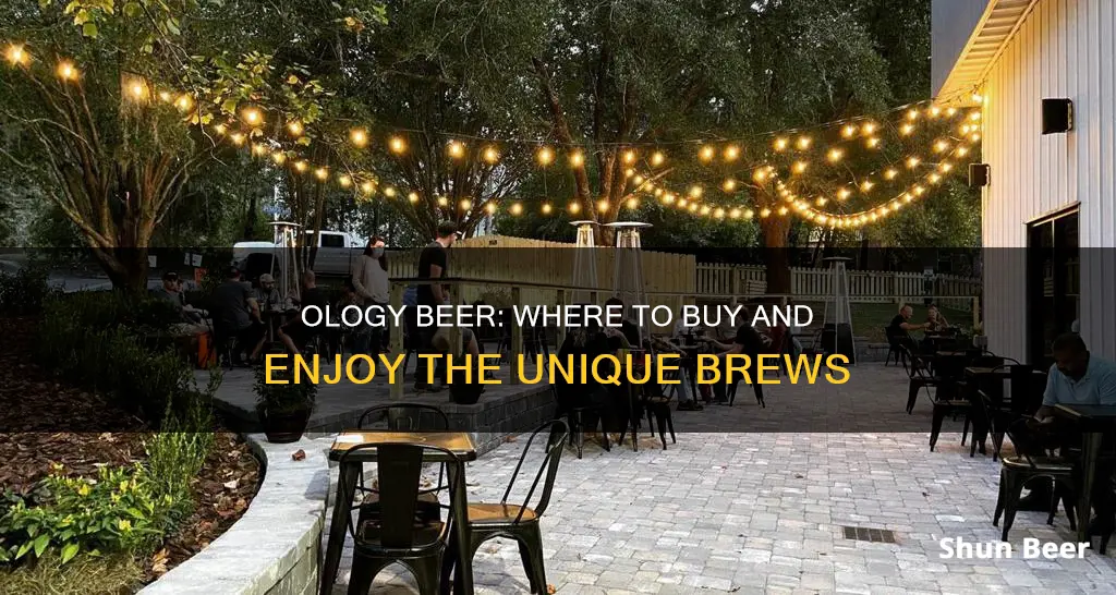 where to buy ology beer