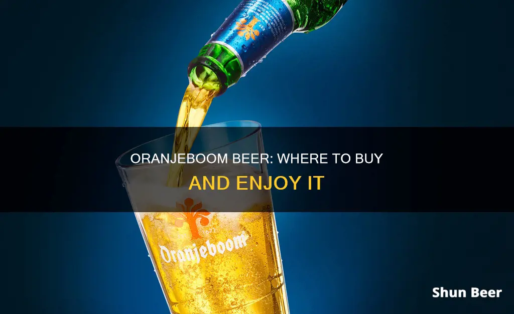 where to buy oranjeboom beer