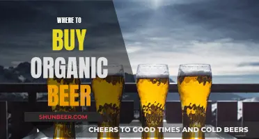 Organic Beer: Where to Buy the Best Brews