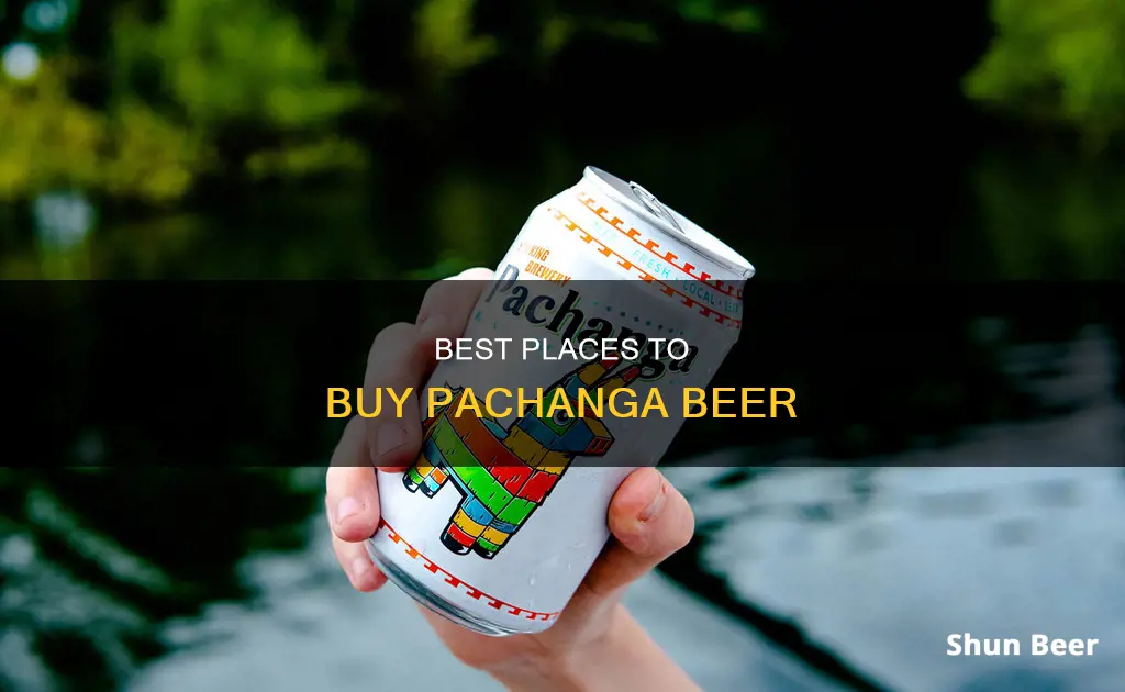 where to buy pachanga beer