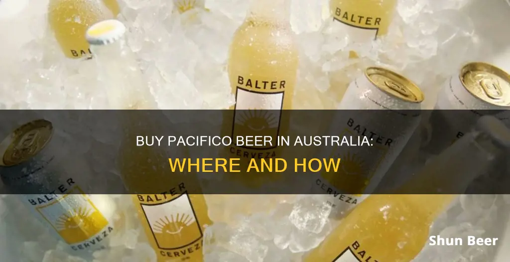 where to buy pacifico beer in australia