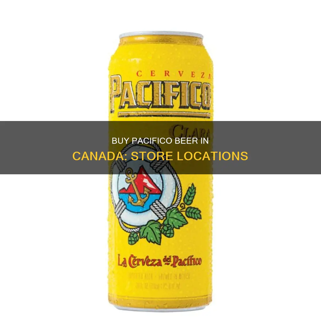 where to buy pacifico beer in canada