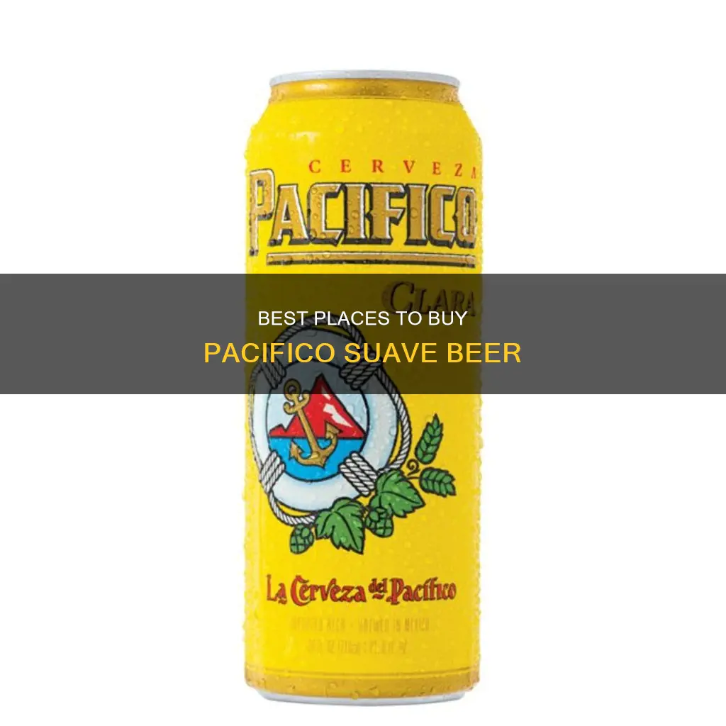 where to buy pacifico suave beer