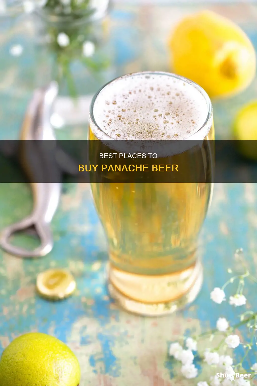 where to buy panache beer