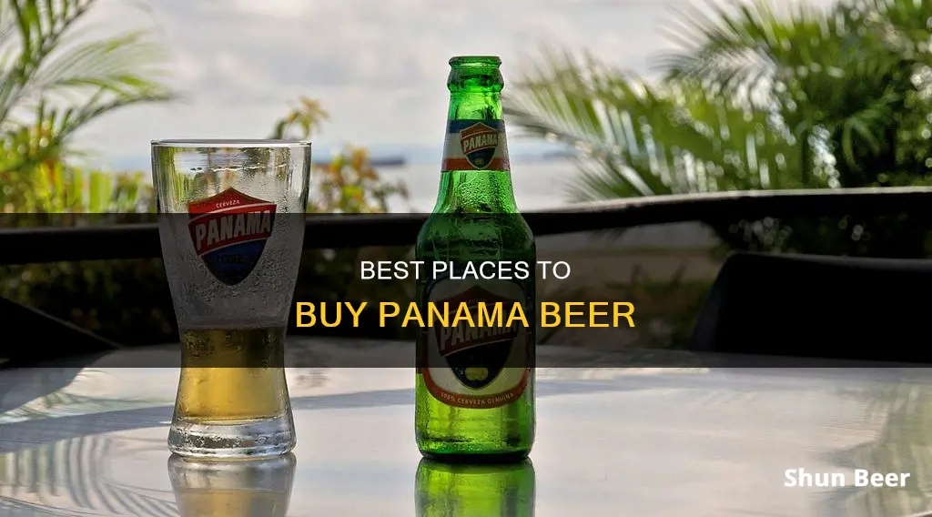 where to buy panama beer