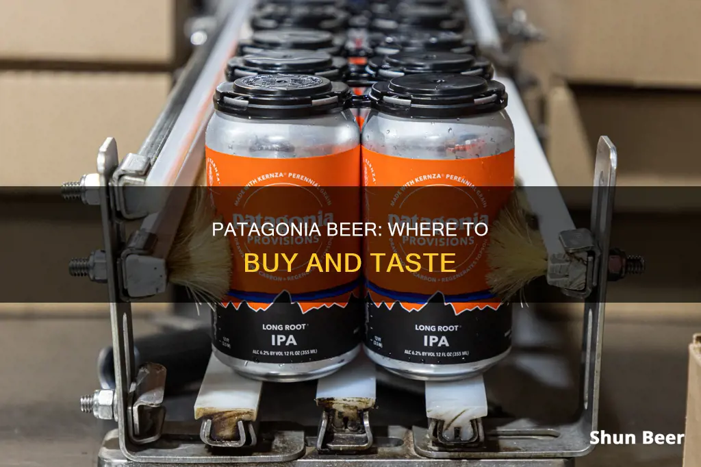 where to buy patagonia beer