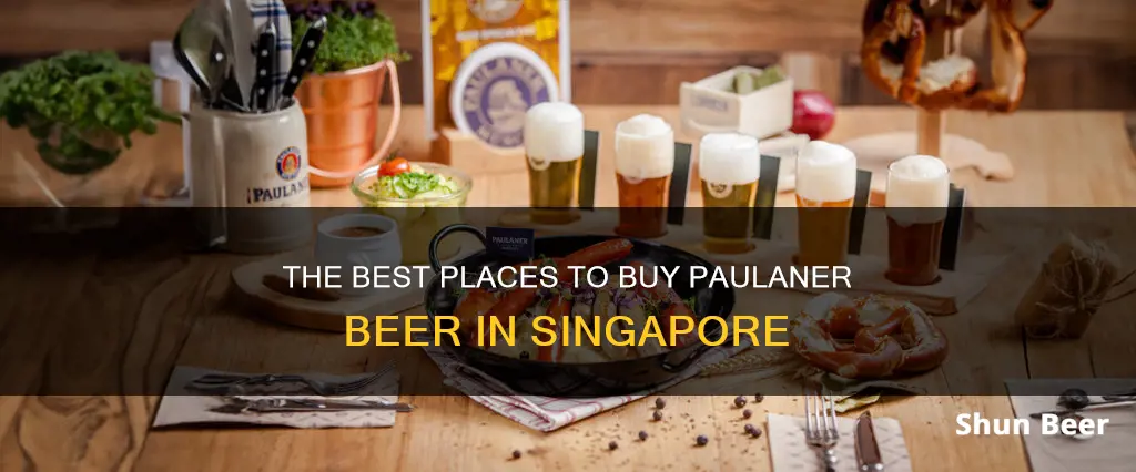 where to buy paulaner beer in singapore