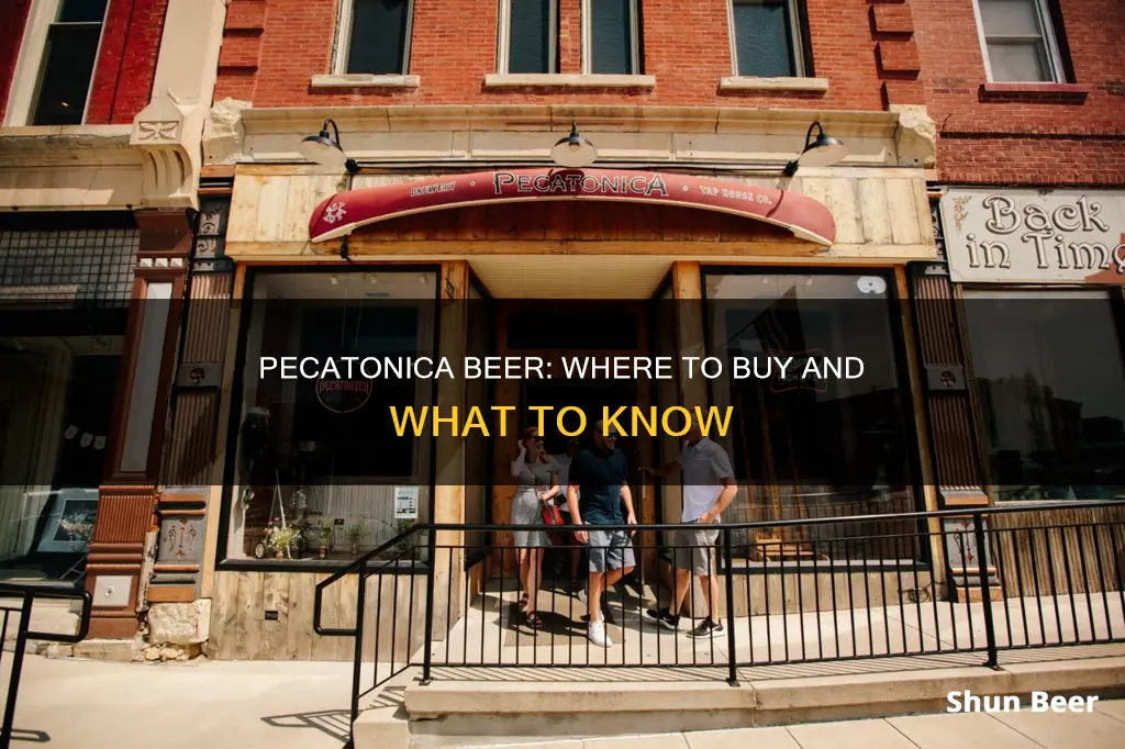 where to buy pecatonica beer