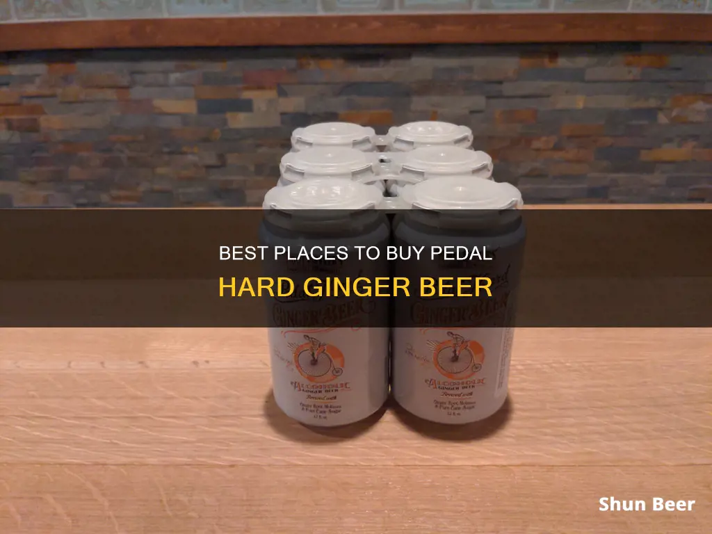 where to buy pedal hard ginger beer