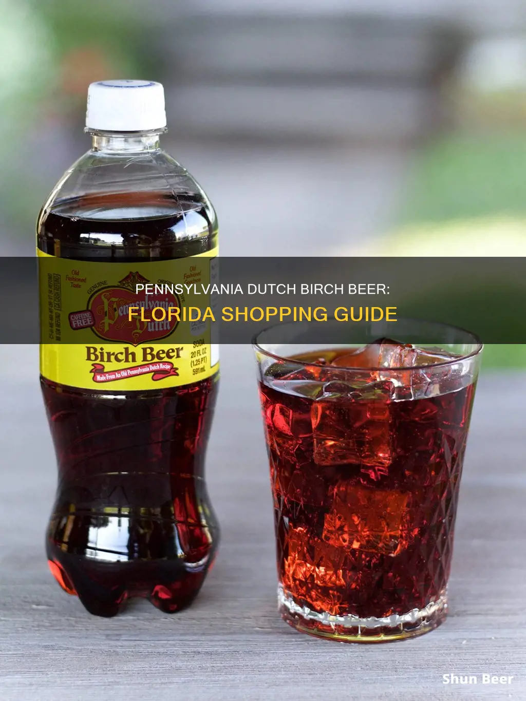 where to buy pennsylvania dutch birch beer in florida