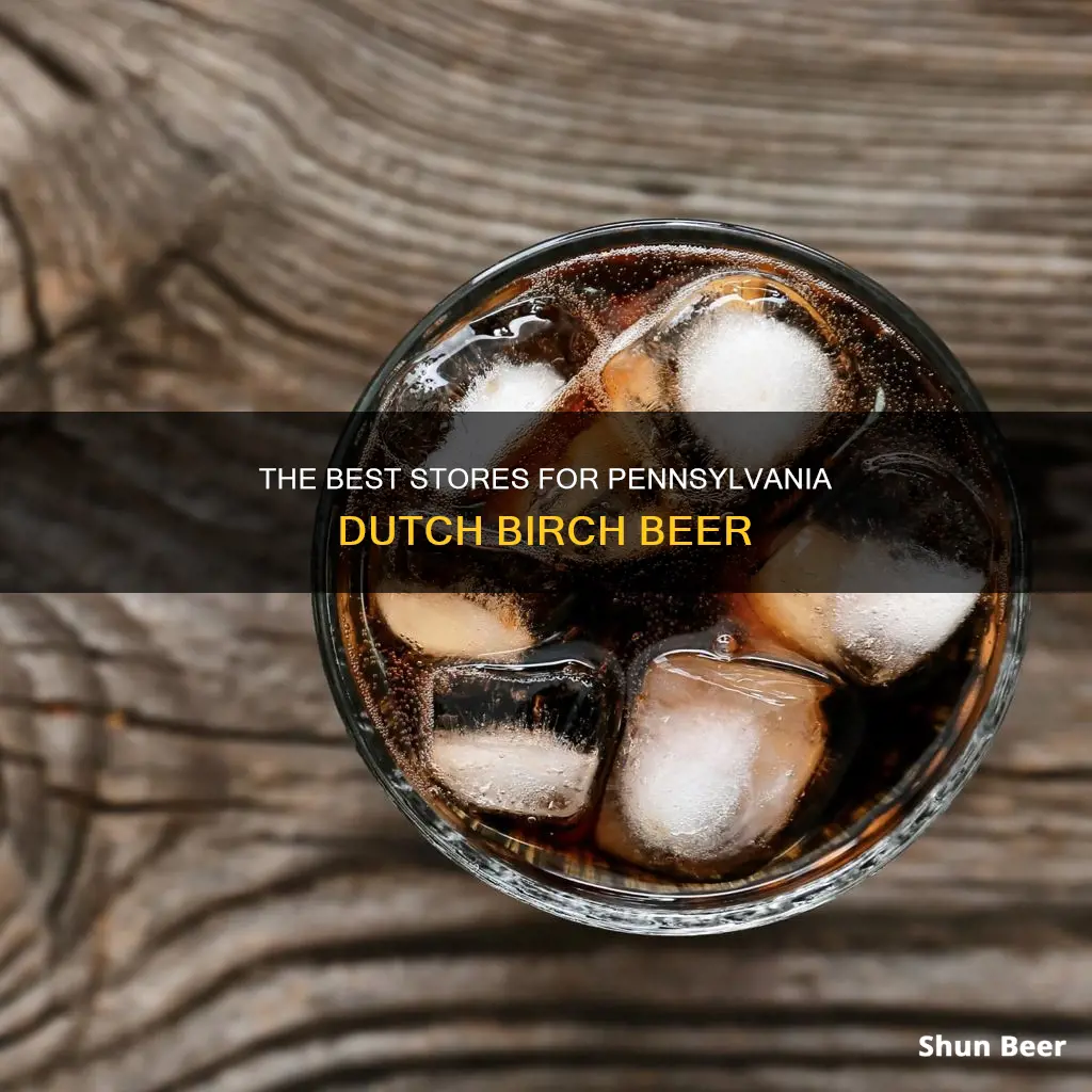 where to buy pennsylvania dutch birch beer