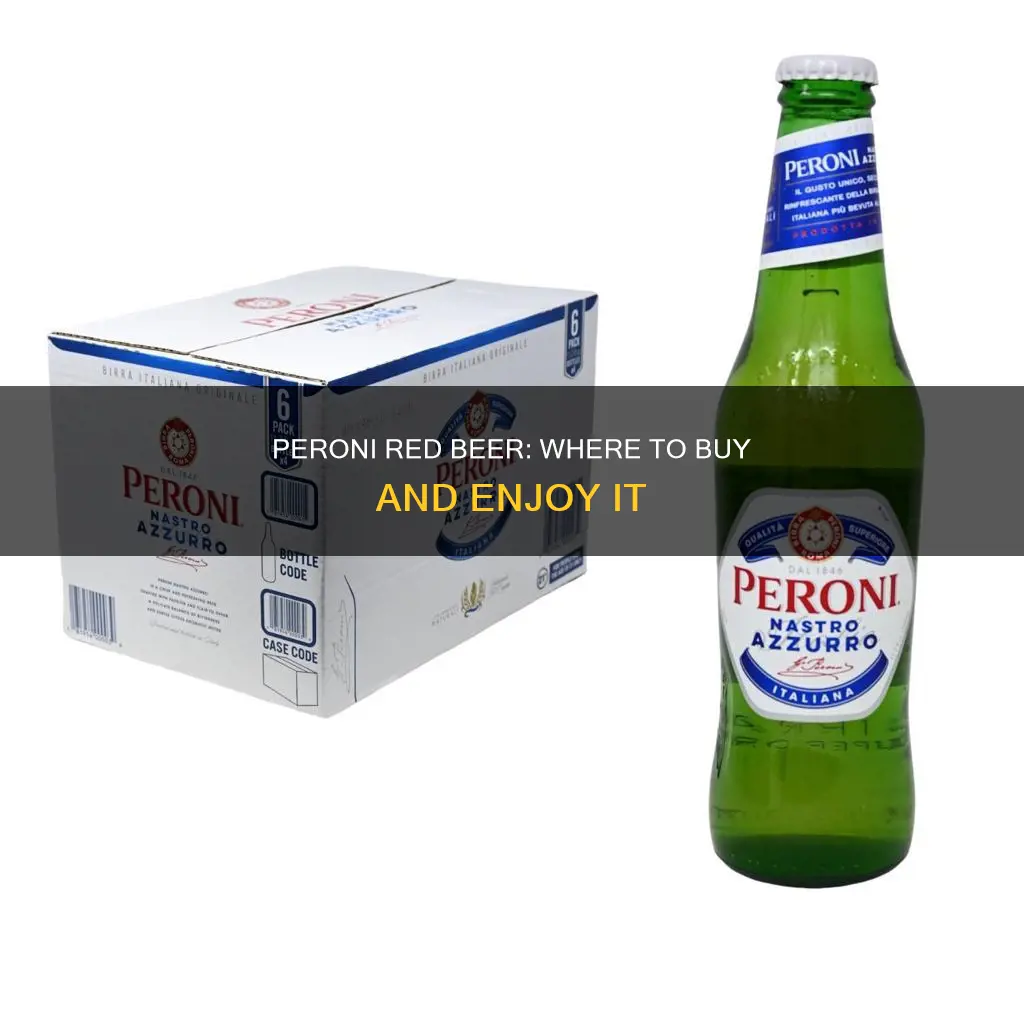 where to buy peroni red beer