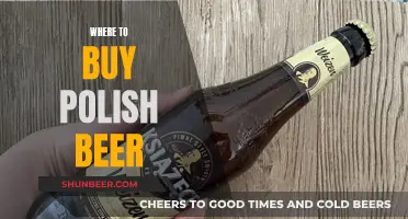 Polish Beer: Where to Buy the Best Brews