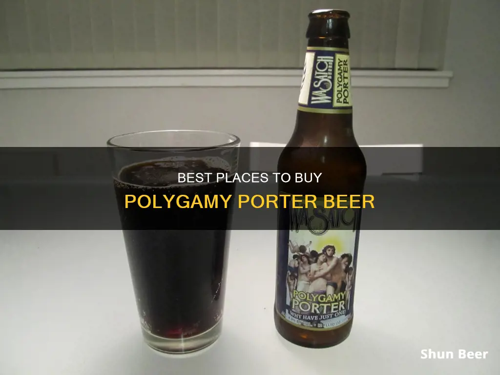 where to buy polygamy porter beer