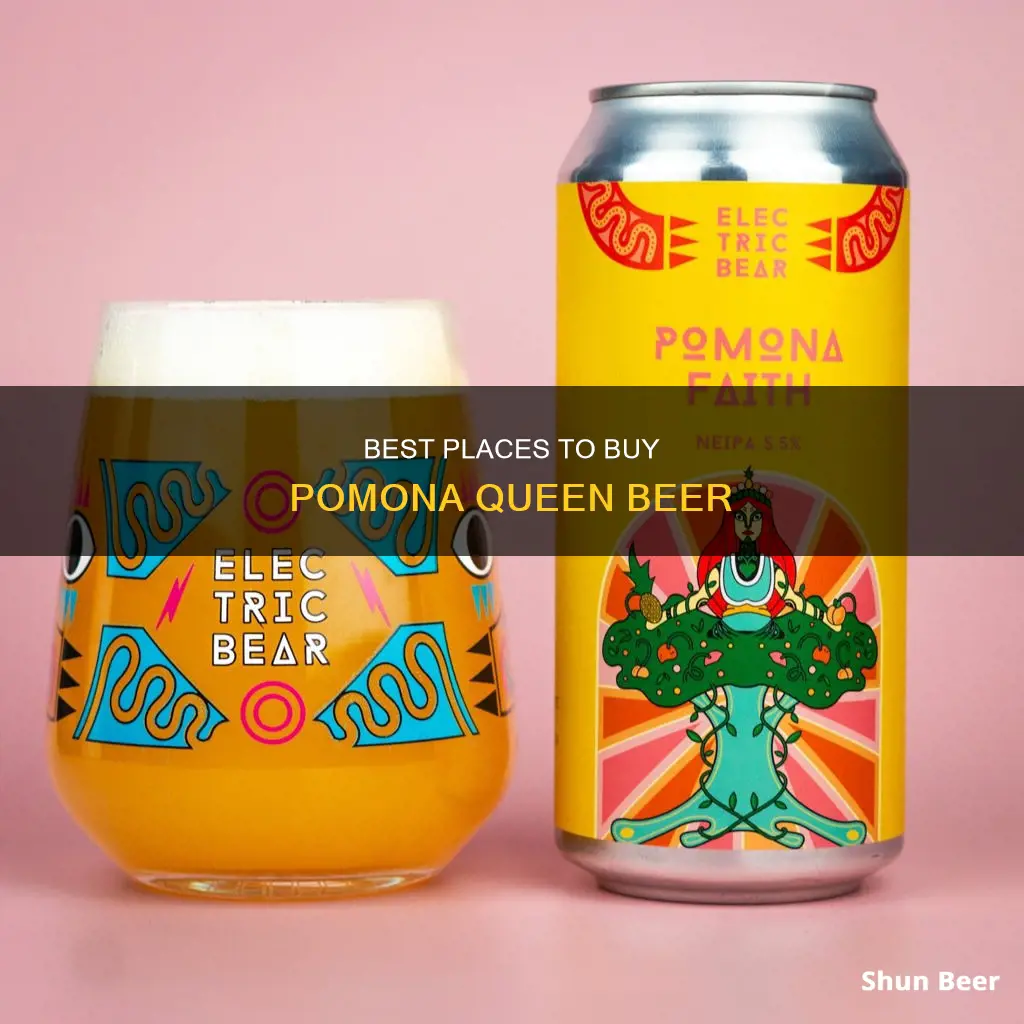 where to buy pomona queen beer