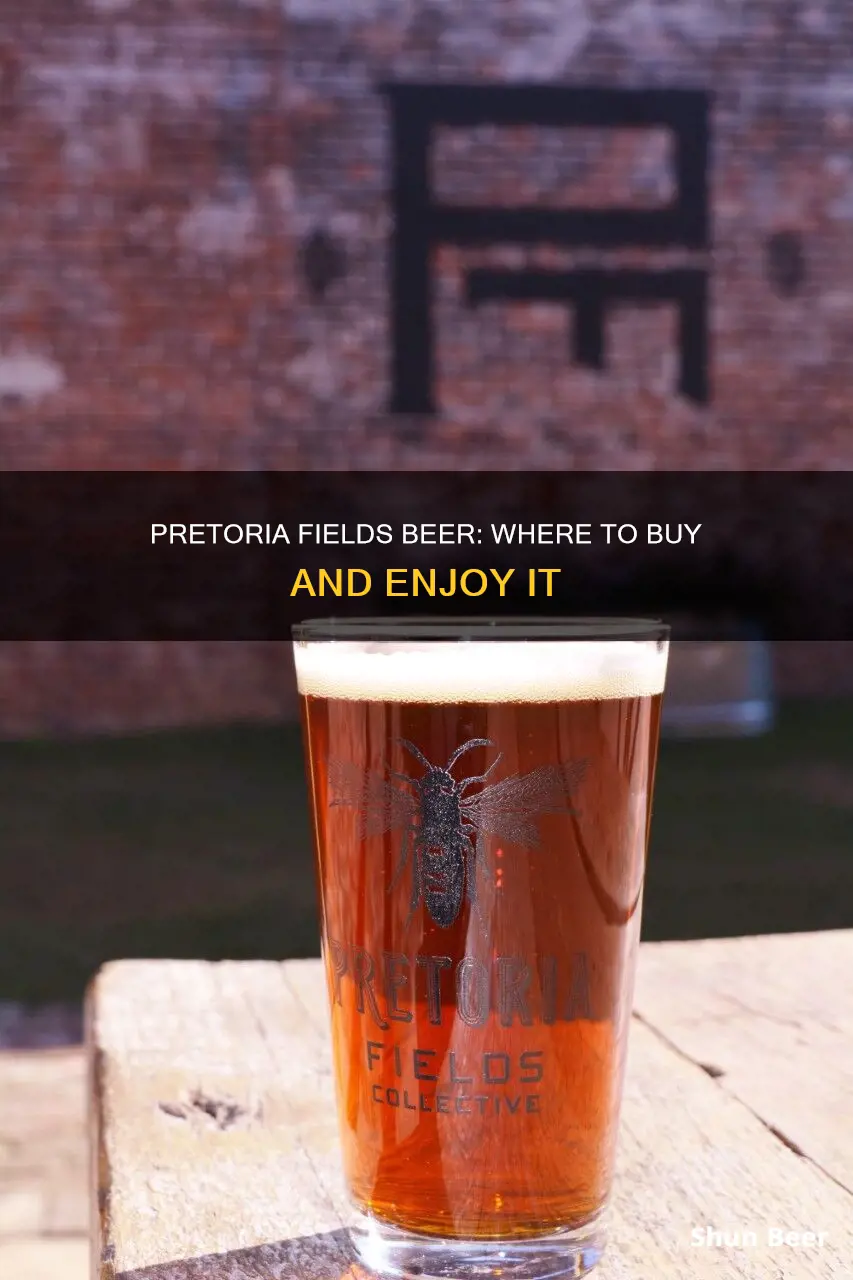 where to buy pretoria fields beer