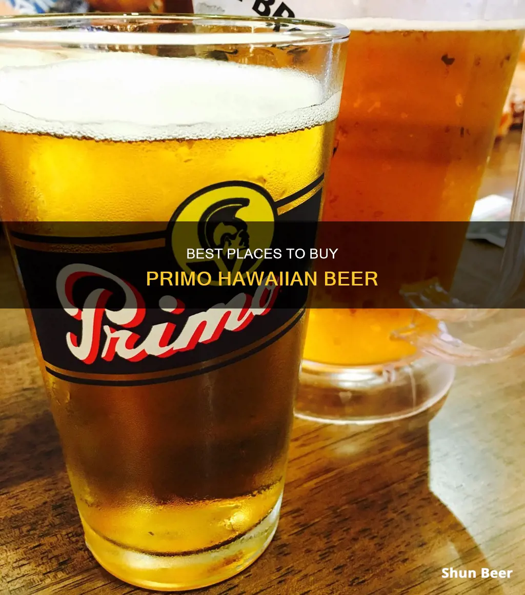 where to buy primo hawaiian beer