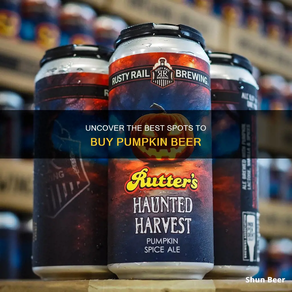 where to buy pumpkin beer