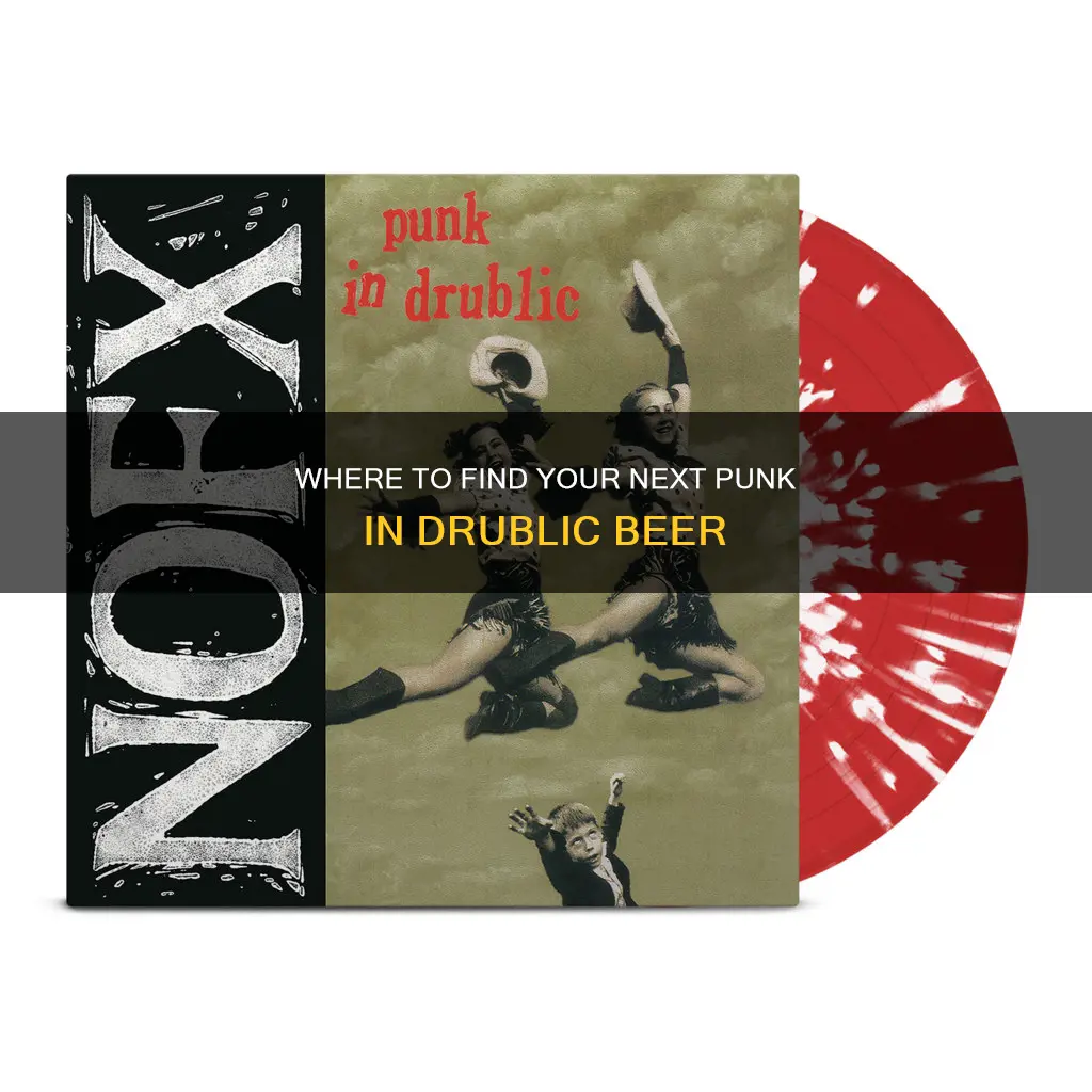 where to buy punk in drublic beer