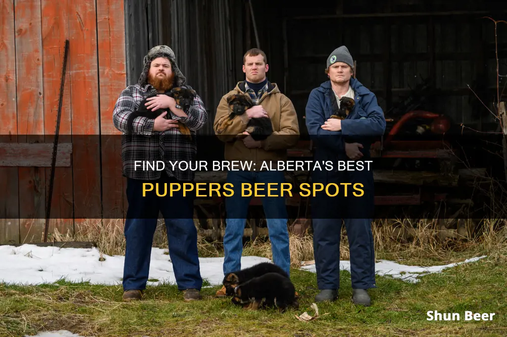 where to buy puppers beer in alberta