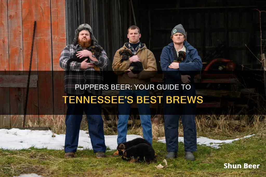 where to buy puppers beer tennessee