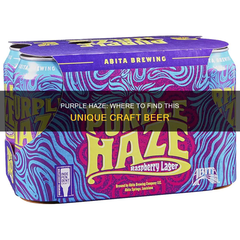 where to buy purple haze beer