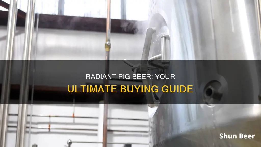 where to buy radiant pig beer