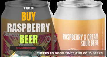 Raspberry Beer: A Guide to the Best Sources