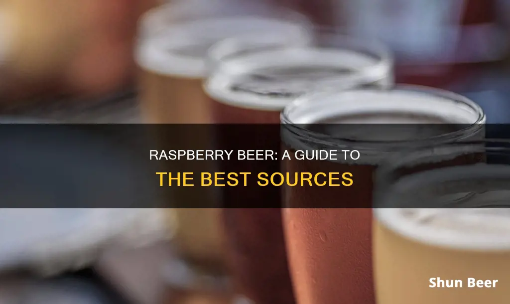 where to buy raspberry beer