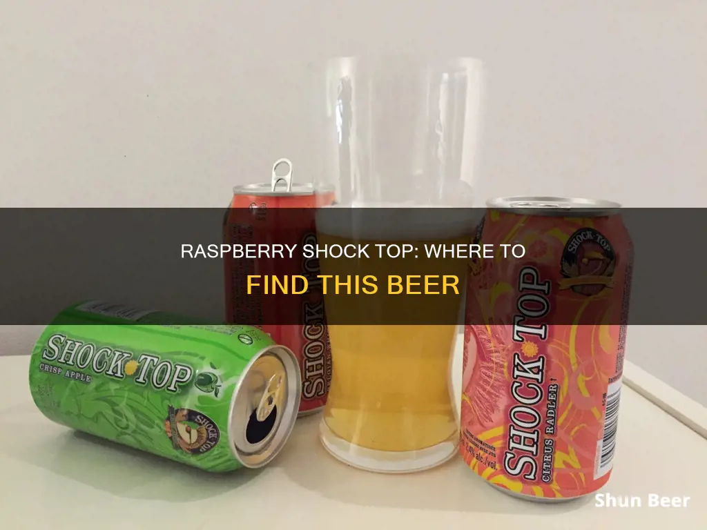 where to buy raspberry shock top beer