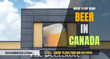 Canada's Best Spots for Ready-to-Drink Beer: A Guide