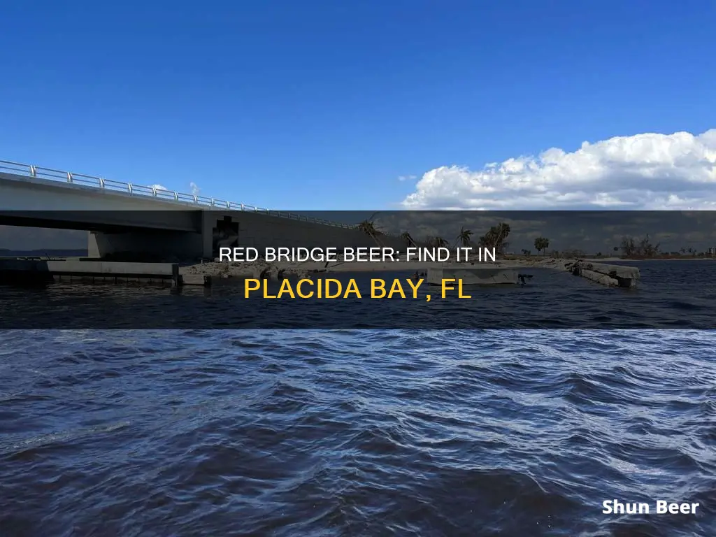 where to buy red bridge beer in placida bay fl