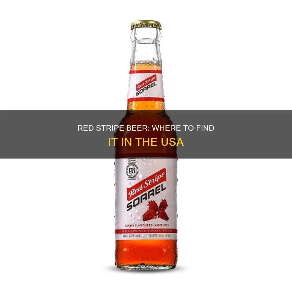 where to buy red stripe beer in usa