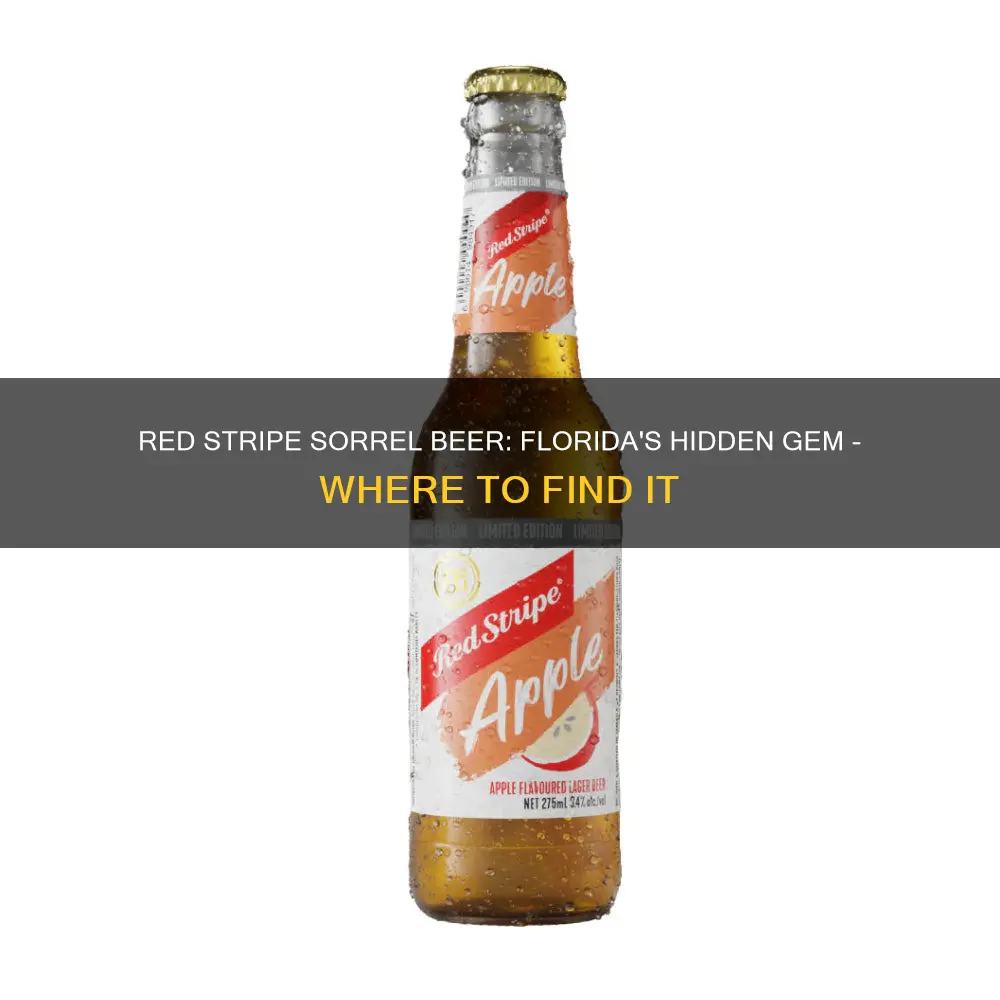 where to buy red stripe sorrel beer in florida