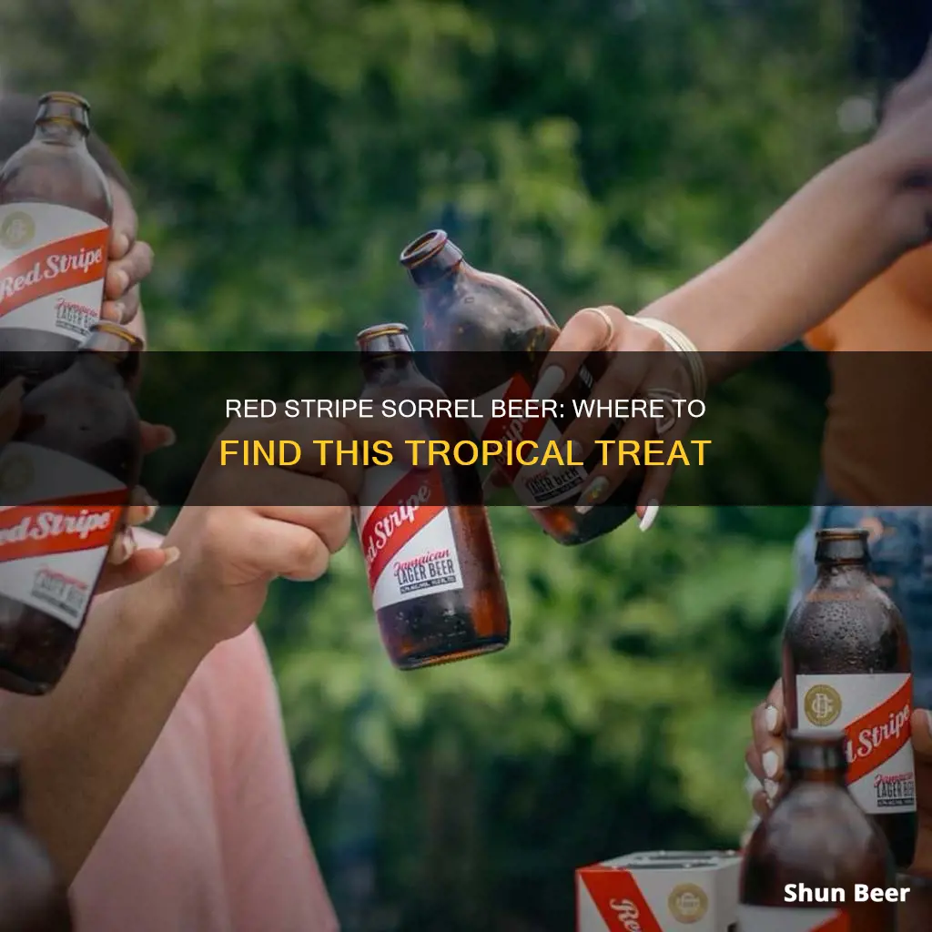 where to buy red stripe sorrel beer