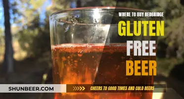 Gluten-Free Beer Haven: Redbridge's Best Sources Revealed