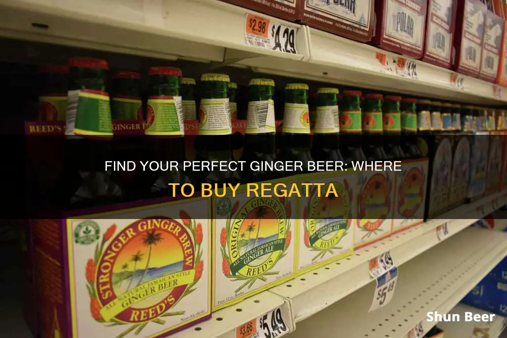 where to buy regatta ginger beer