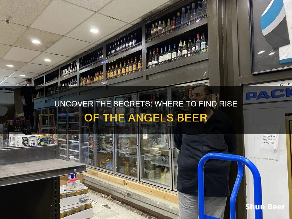 where to buy rise of the angels beer