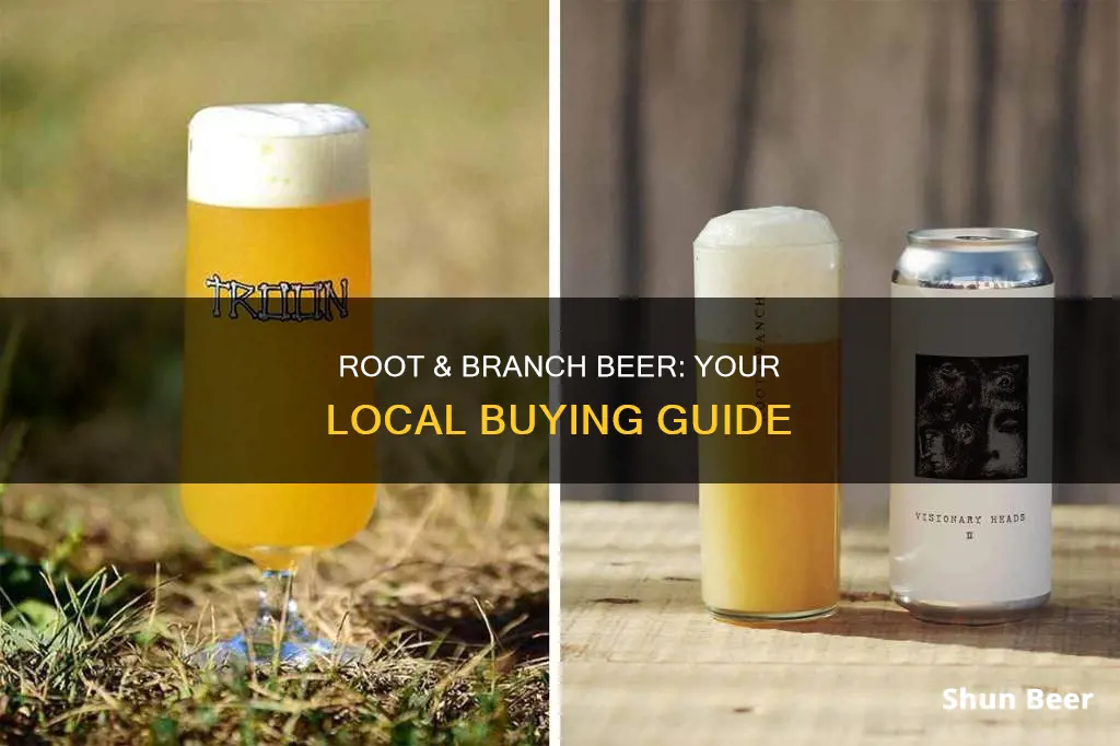 where to buy root and branch beer