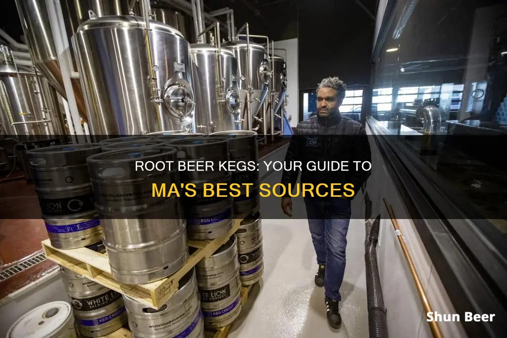 where to buy root beer keg in ma