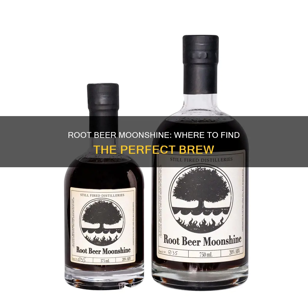 where to buy root beer moonshine