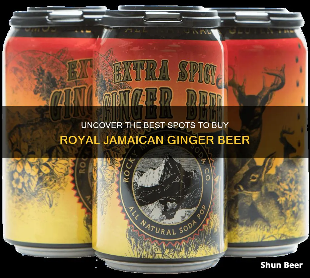 where to buy royal jamaican alcoholic ginger beer