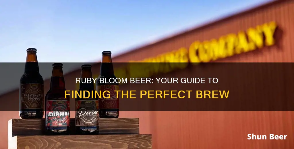 where to buy ruby bloom beer