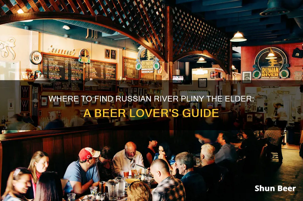 where to buy russian river pliny the elder beer